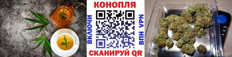 как найти закладки  Циолковский  Canna-Cookies конопля 