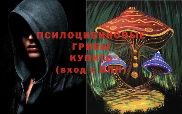 каннабис Коряжма