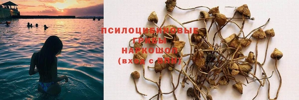 каннабис Коряжма