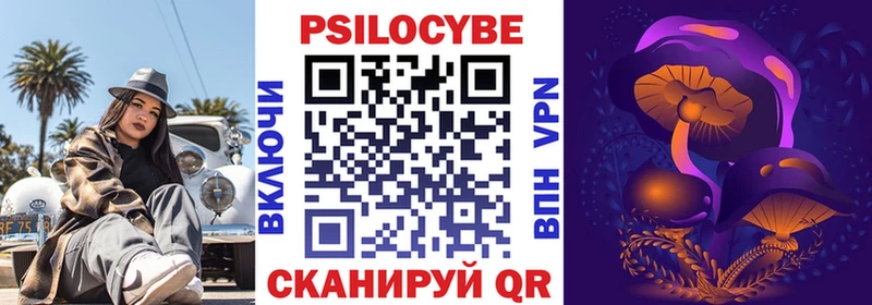 купить   Циолковский  Псилоцибиновые грибы MAGIC MUSHROOMS 